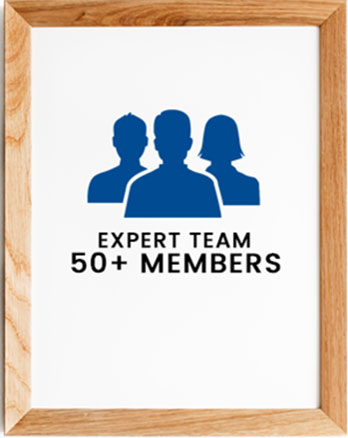 Expert Team of 50+ members