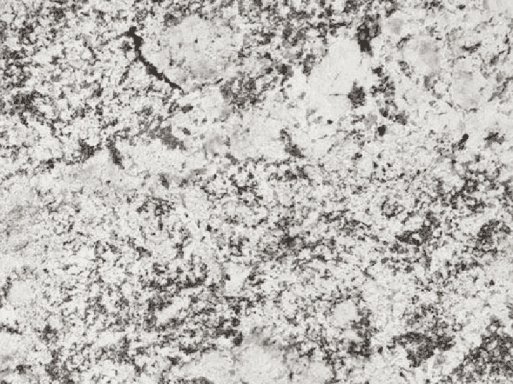 Alaska White Granite 