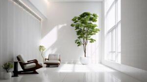 White Marble Price in India