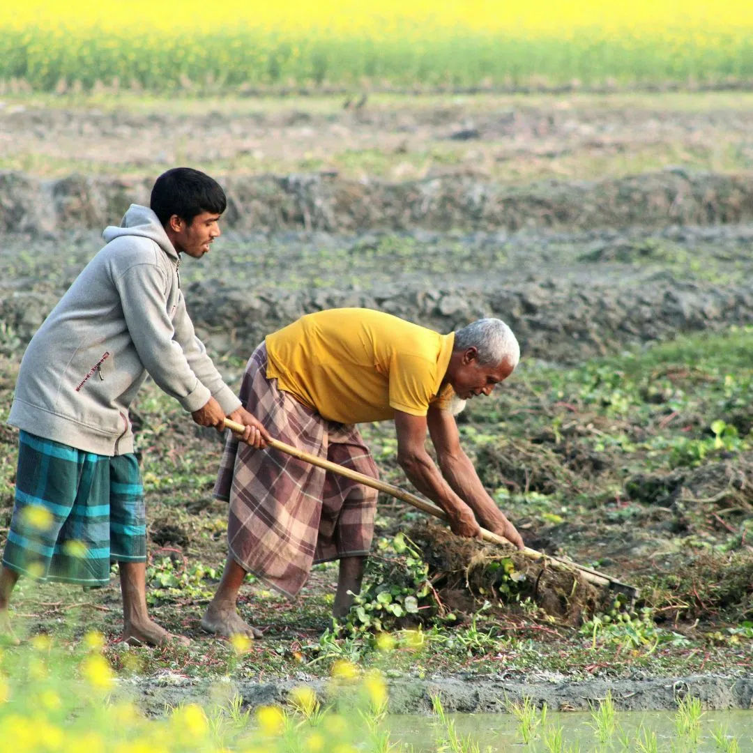 dolomite powder in agriculture industry